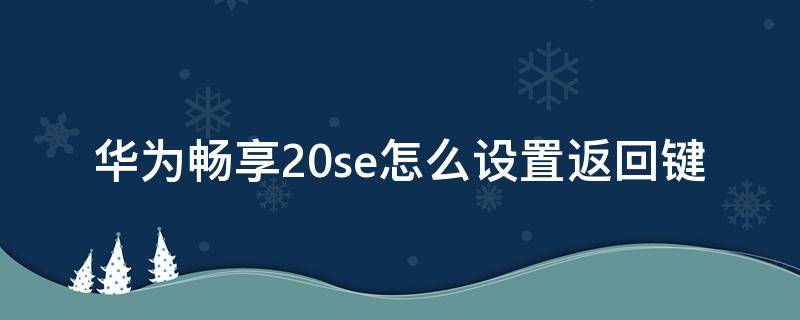 华为畅享20se怎么设置返回键（华为畅享20se的返回键）