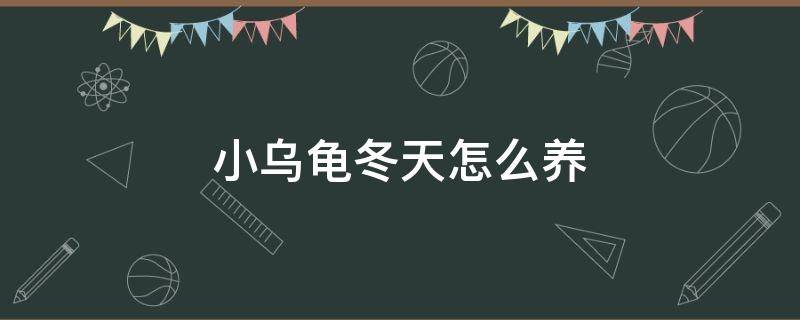 小乌龟冬天怎么养（小乌龟冬天怎么养,吃什么,要放多少水合适）