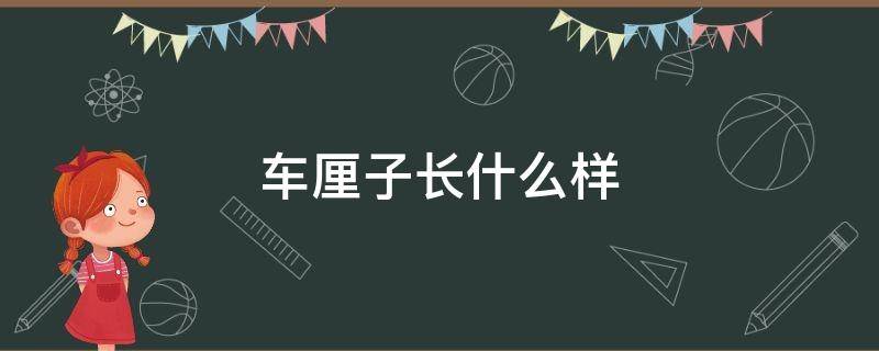 车厘子长什么样（车厘子长什么样图片放出来长在哪里）