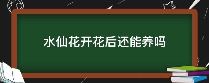 水仙花开花后还能养吗 水仙花开过以后怎么养