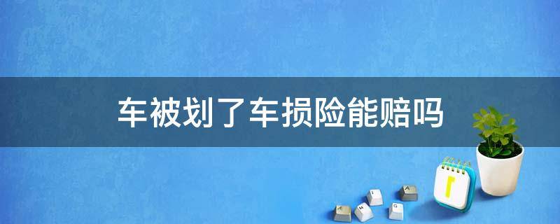 车被划了车损险能赔吗（车被人为划了车损险能赔吗）