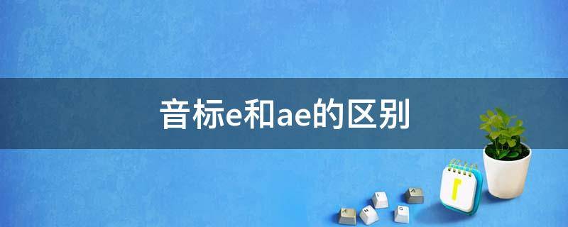 音标e和ae的区别 音标e和ae的区别视频