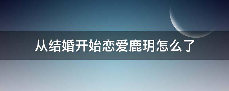 从结婚开始恋爱鹿玥怎么了 从恋爱到结婚鹿玥