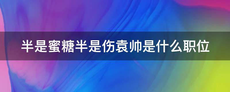 半是蜜糖半是伤袁帅是什么职位 半是蜜糖半是伤袁帅是什么身份