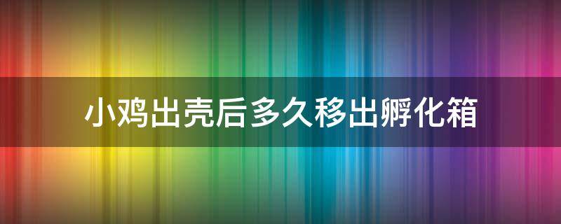 小鸡出壳后多久移出孵化箱（孵化器小鸡出壳后多久移出）