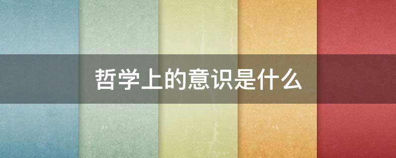 哲学上的意识是什么（哲学上的意识是什么意思）