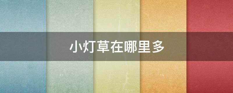 小灯草在哪里多（小灯草具体位置）