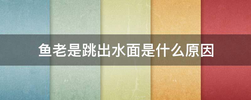 鱼老是跳出水面是什么原因 鱼总是跳出水面什么原因