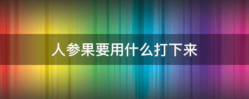 人参果要用什么打下来 人参果用什么打下的