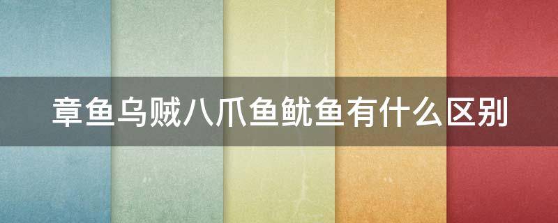 章鱼乌贼八爪鱼鱿鱼有什么区别（八爪鱼章鱼乌贼鱿鱼是一样的东西吗）