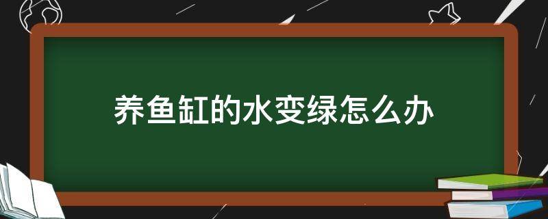 养鱼缸的水变绿怎么办（鱼缸水变绿咋办）