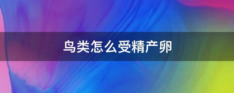 鸟类怎么受精产卵（鸟是如何产卵的）