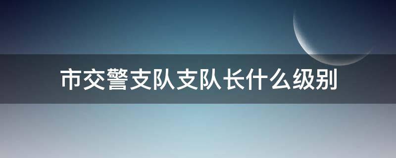 市交警支队支队长什么级别（郑州市交警支队支队长什么级别）