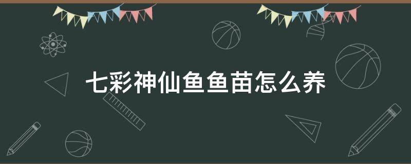 七彩神仙鱼鱼苗怎么养 怎样养好七彩神仙鱼鱼苗