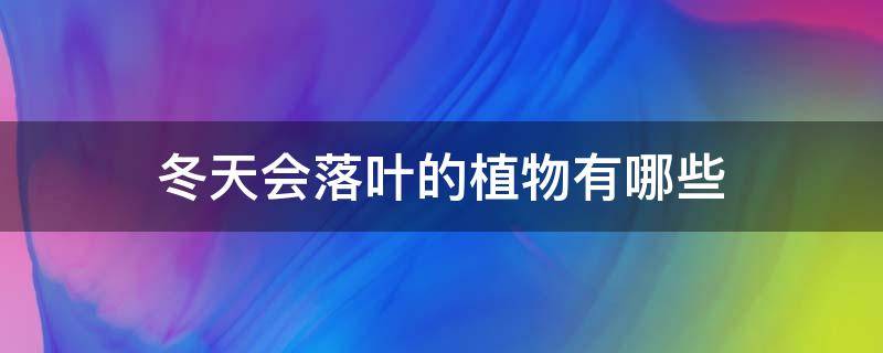 冬天会落叶的植物有哪些（冬天会落叶的植物有哪些树）