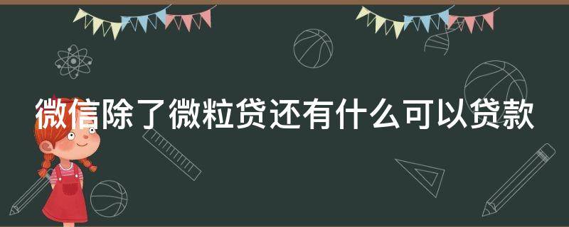 微信除了微粒贷还有什么可以贷款（微信除了微粒贷还有什么贷款软件）