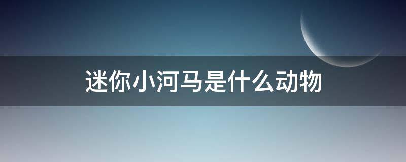 迷你小河马是什么动物 迷你小河马是什么动物整么生育