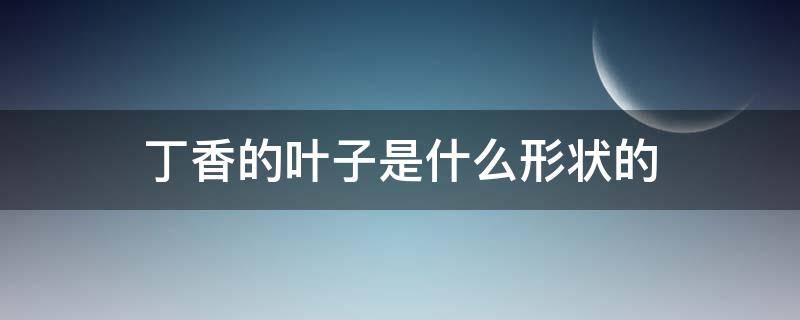 丁香的叶子是什么形状的（丁香的叶子是什么形状的?）