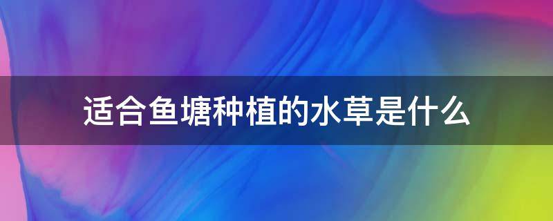 适合鱼塘种植的水草是什么 鱼塘种什么水草