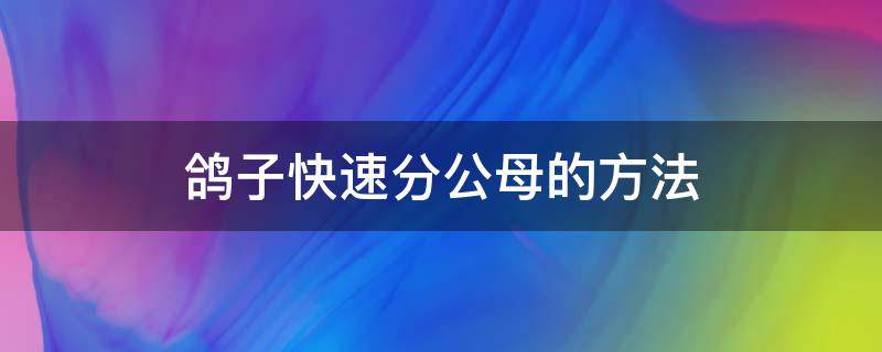 鸽子快速分公母的方法（鸽子怎么分公母最简单的方式）