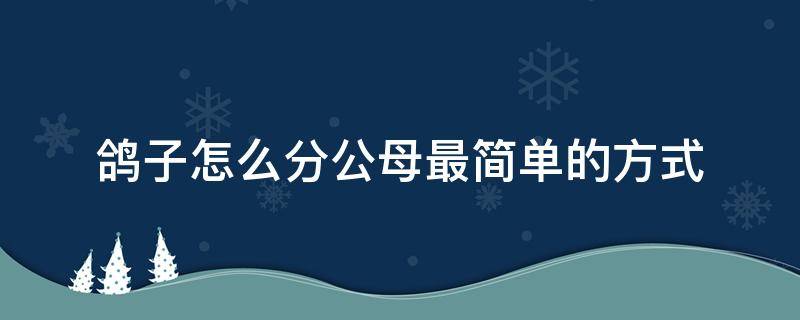 鸽子怎么分公母最简单的方式 鸽子怎么分公母最简单的方式图片 图解