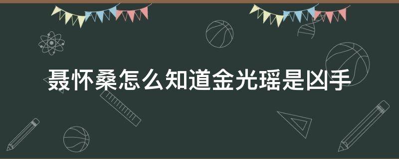 聂怀桑怎么知道金光瑶是凶手 聂怀桑知道金光瑶是凶手吗