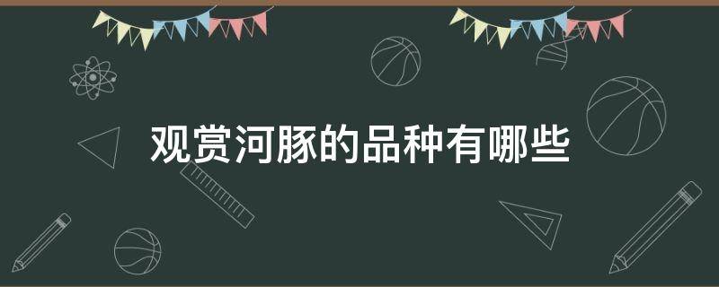 观赏河豚的品种有哪些 观赏河豚有几种