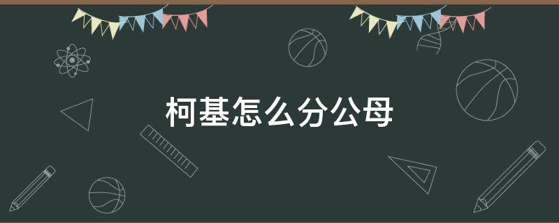 柯基怎么分公母（柯基如何分公母）