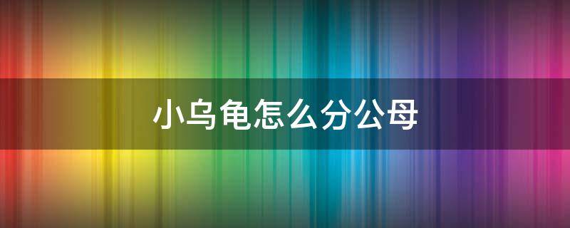 小乌龟怎么分公母 小乌龟怎么分公母巴西龟