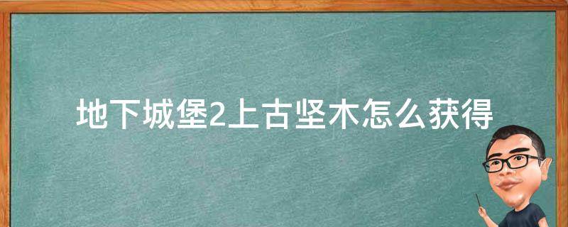 地下城堡2上古坚木怎么获得（地下城堡2上古坚木哪里获得）