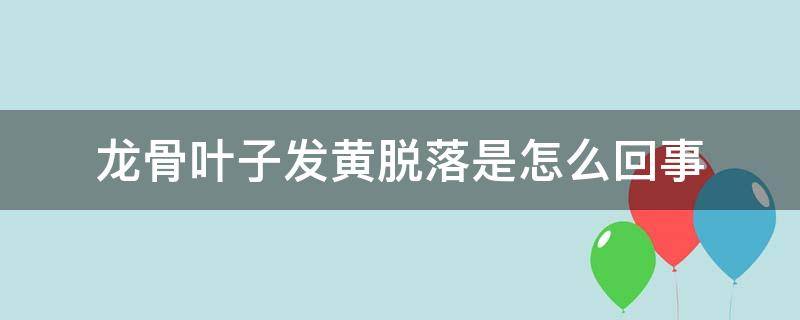 龙骨叶子发黄脱落是怎么回事 龙骨发黄掉叶怎么回事