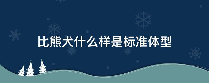 比熊犬什么样是标准体型 比熊算什么犬型