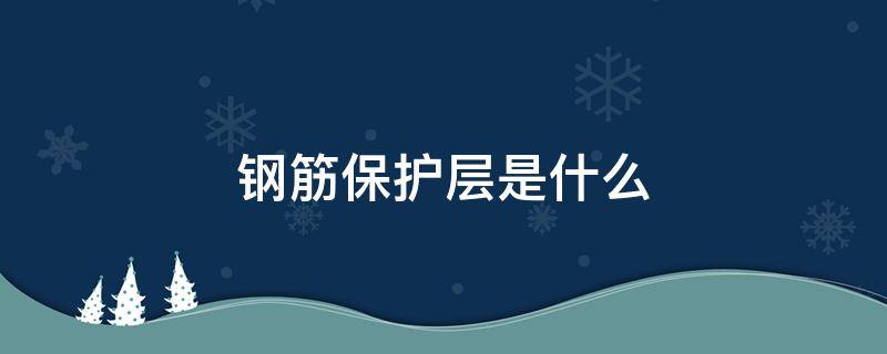 钢筋保护层是什么（钢筋保护层是什么样子）