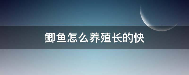 鲫鱼怎么养殖长的快 鲫鱼生长速度快吗