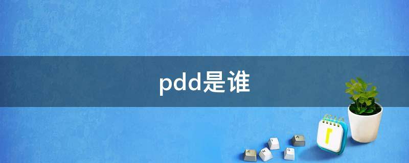 pdd是谁 刘谋