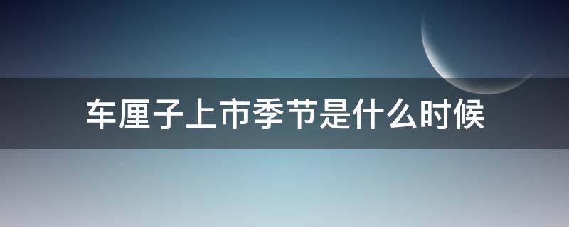 车厘子上市季节是什么时候（进口车厘子什么季节上市）