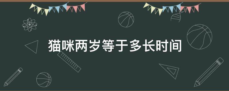 猫咪两岁等于多长时间（猫咪两周岁是几个月）