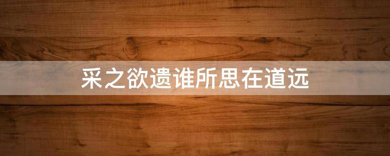 采之欲遗谁所思在道远 采之欲遗谁所思在道远意思