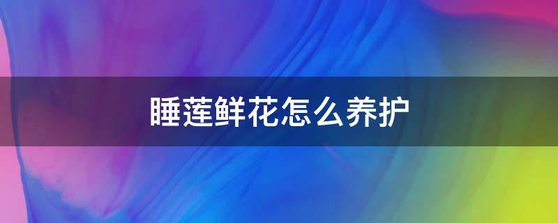 睡莲鲜花怎么养护 睡莲花怎样养