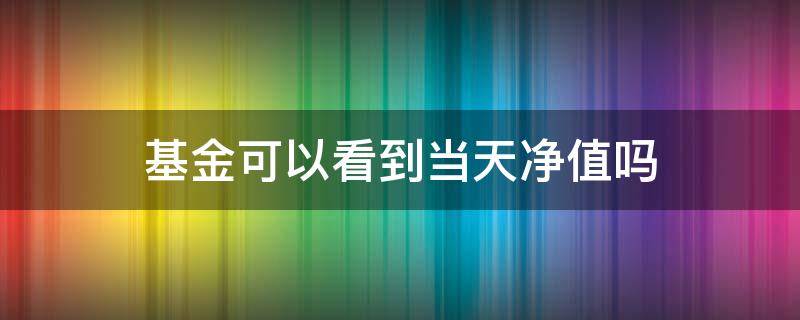 基金可以看到当天净值吗 基金能不能看到当天净值