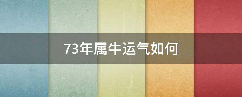 73年属牛运气如何（73年属牛的财运如何）