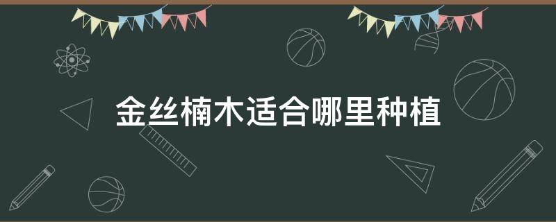 金丝楠木适合哪里种植 金丝楠木树适合哪里栽