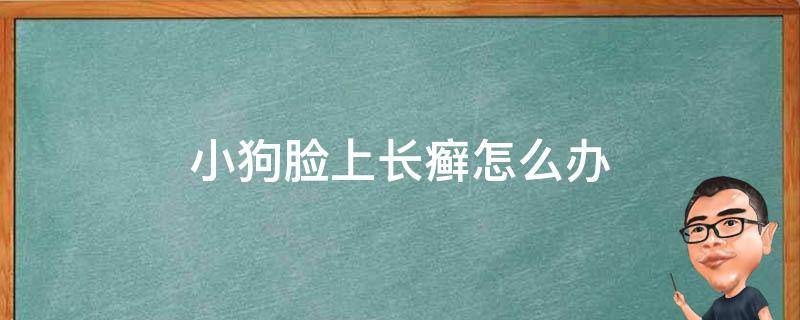 小狗脸上长癣怎么办 狗狗身上长癣怎么治