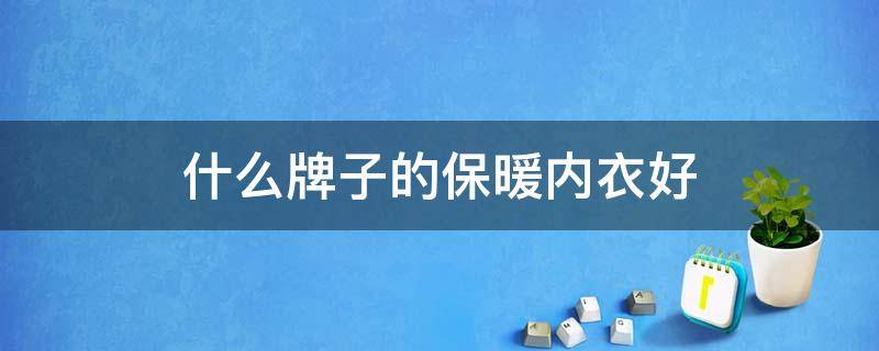 什么牌子的保暖内衣好 什么牌子的保暖内衣好穿又不贵