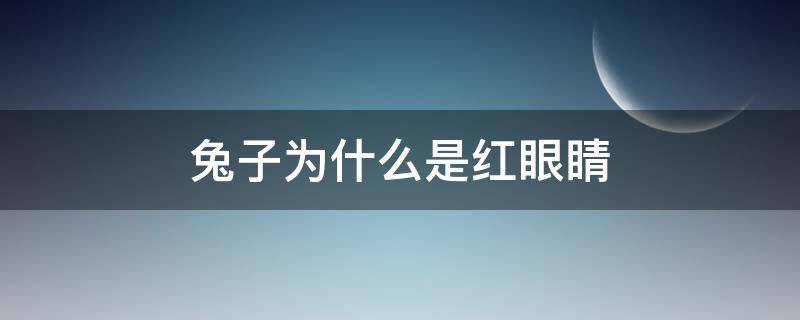 兔子为什么是红眼睛（兔子为什么是红眼睛满分作文）