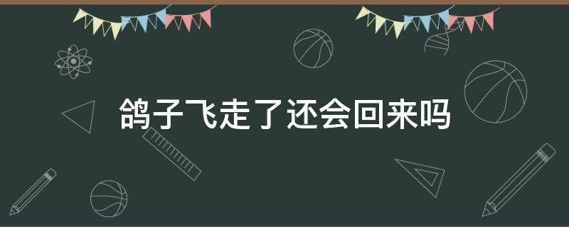 鸽子飞走了还会回来吗（鸽子下蛋了公鸽子飞走了还会回来吗）