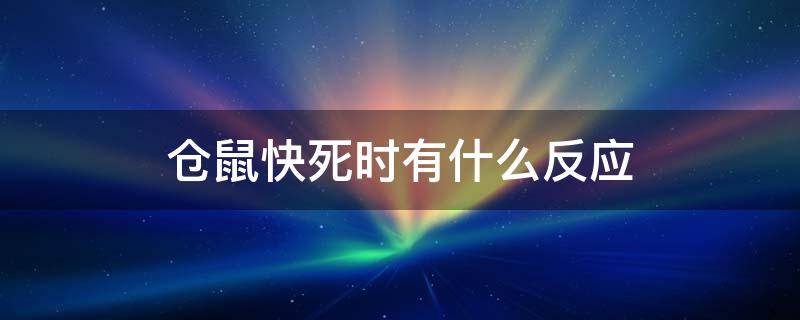 仓鼠快死时有什么反应 仓鼠死了有什么反应