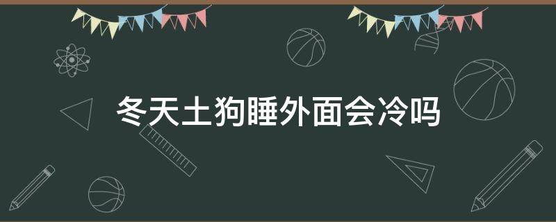 冬天土狗睡外面会冷吗 土狗晚上会冷吗