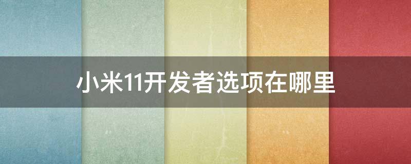 小米11开发者选项在哪里 小米11开发者选项在哪里找