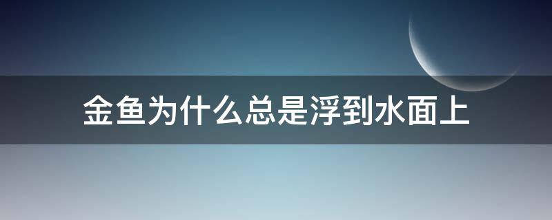 金鱼为什么总是浮到水面上 金鱼为什么总是浮到水面上张嘴呼吸